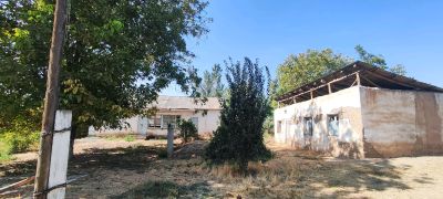 Бузсув, Янгийул, Навои ж/х да 27 сотих сотилади