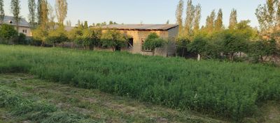 Sa.arqand viloyat jomboy tumani trassa chetida yer uchastka sotiladi
