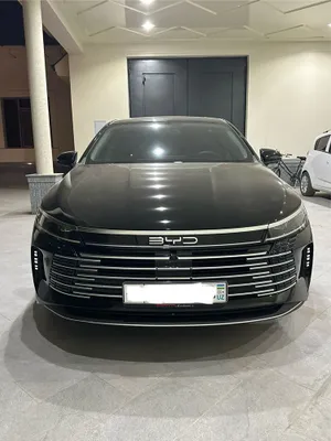 Byd chazor 4 pozitsiya 2024