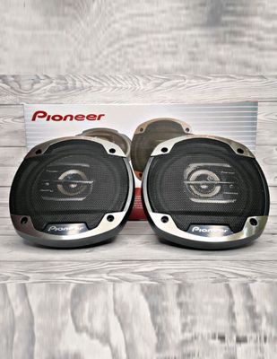 Pioneer champion TS-1675 V2 16sm