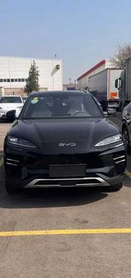 Byd Champion 2025 0 probeg
