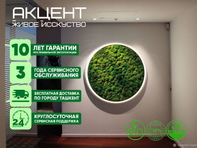 Фито картины и фито стены