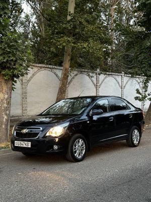 Cobalt 2023 yil gaz bor
