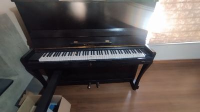 Pianino Yangi uyda saqlangan.