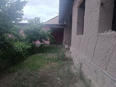 Hovli Karmana argʻun
