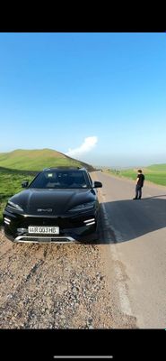 Byd Champion 605 full
