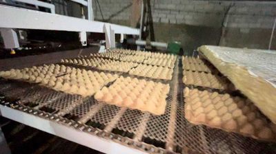 Продаётся готовый бизнес цех по производству флеек (картон для яиц)