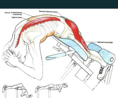 Тренажор гиперекстензия