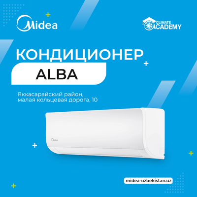Кондиционер Midea Alba Inverter 12