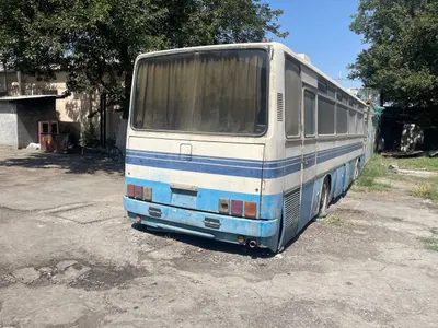 Экарус 256 сотилади