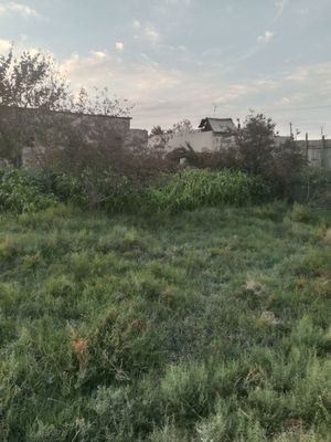 Йер учаскаси сотилади
