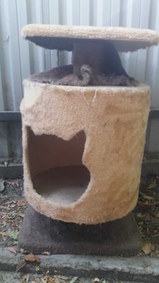Кошкин дом Mushuk uyi дом для кошки Доставка