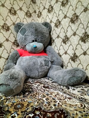 Tedy_ ayiq holati yengi