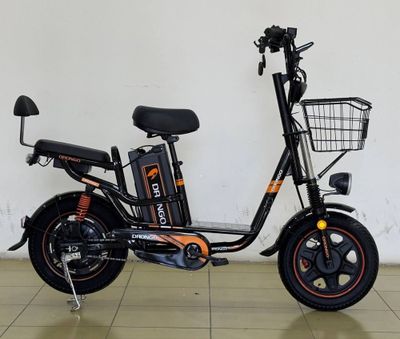 elektra velik Drongo