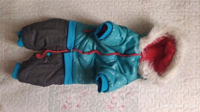 Одежда для животных