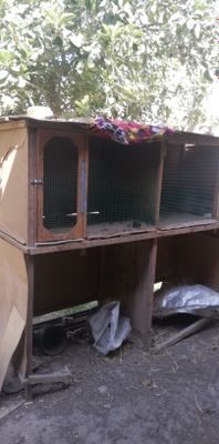 Katak Sotiladi 2xonali