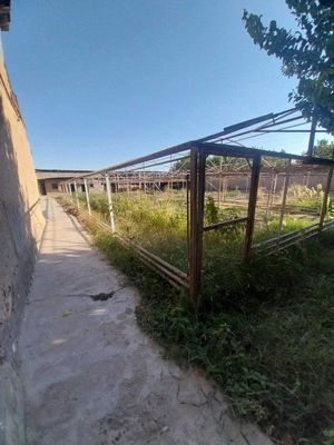 Zangiota tumani Erkin ko`chasi 10 so`tix hovli