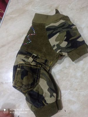 Одежда для маленькой собачки