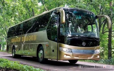 запчасти автобус Golden Dragon