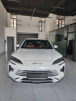 Byd Champion 2024 gibrit