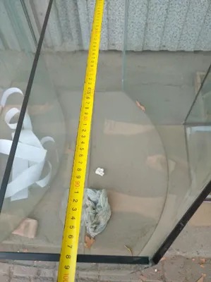 Аквариум разные в