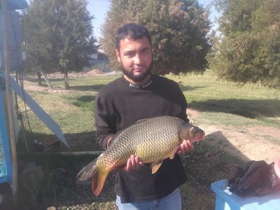 Sazan talstalof trik baliq dastafka bor 50000