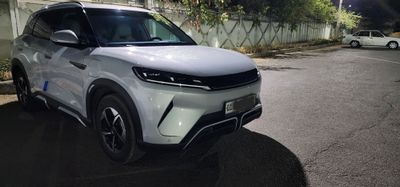 Byd yuan up 2024 yil
