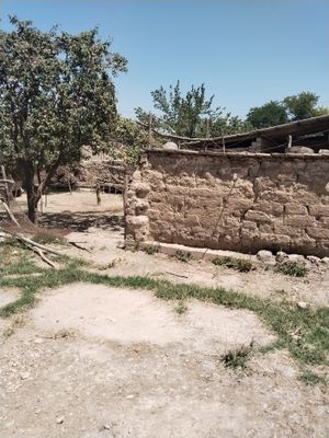 Продам Дом на 4-х сотках. От Сергели 30 км.