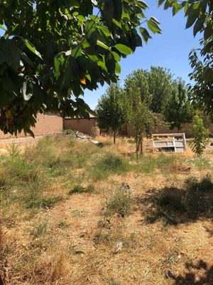 Yer sotiladi tinch mahalla