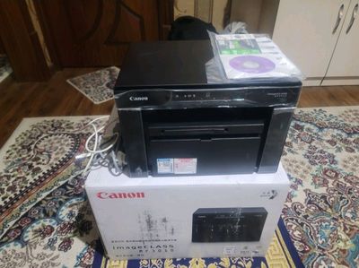 pilintir canon