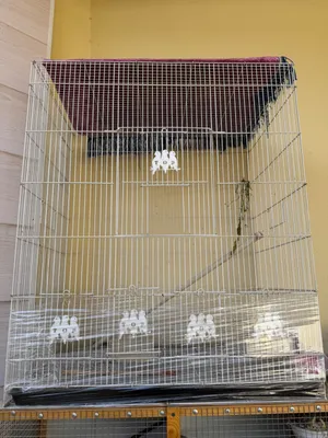 Клетка для попугая