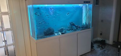 Aquacler ariginal sotiladi