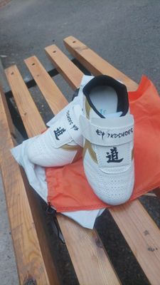 Кроссовки для taekandoo