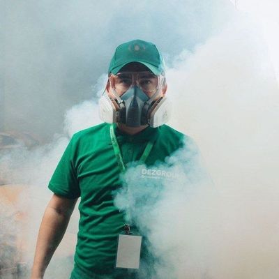 Профессиональный дезинфекция дезинсекция дератизация