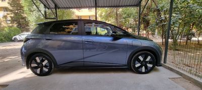 BYD DOLPHIN Knight version FULL