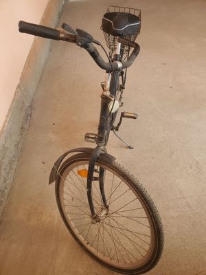 German velo. Srokchni