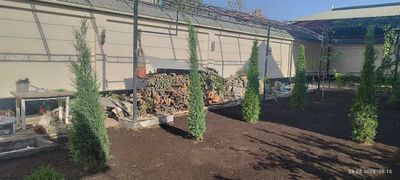 Брусчатка б.у. и Дрова