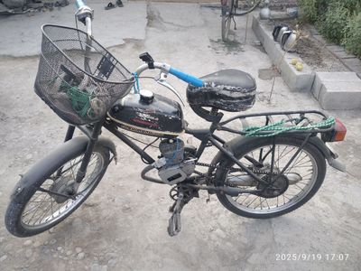 Веломотор Рига Д8. Электроника.