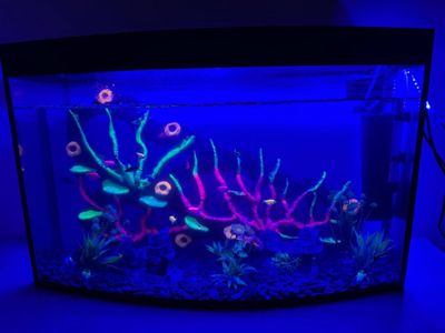 Akvarium 100 Litr