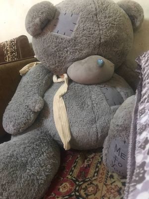 Teddy ayiqcha sotiladi
