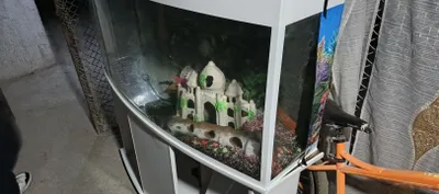 Аквариум продается 100л