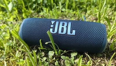 Jbl flip 6 original