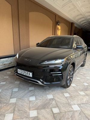 BYD chempion smart 2025/03 ой 605 км