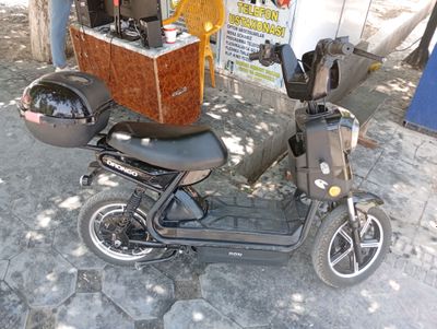 drongo skuter
