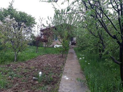 Чингедди 6-соток Чирчик даре енида Узбекистон богидан кирганда