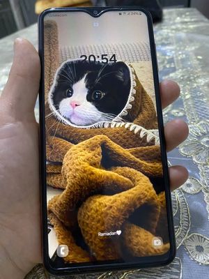 Samsung Galaxy F13