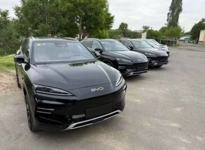 Byd Chempion Smartdrive