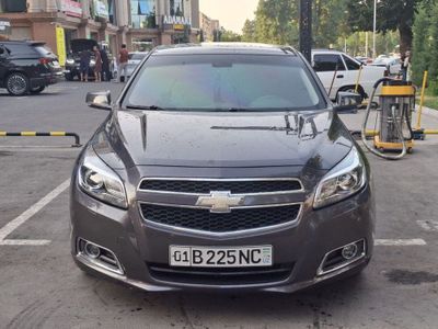 Malibu 1 arendaga aftamat mentan gazi bor