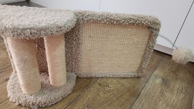 Когтеточка для котят