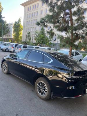 Byd chazor qora 2024
